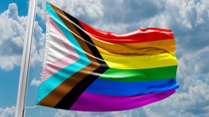 LGBT+ Ban in the Armed Forces, LGBT+ Veterans Review